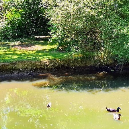 Tout Le Confort Au Milieu D'Un Parc Botanique Noyal-Muzillac Dış mekan fotoğraf
