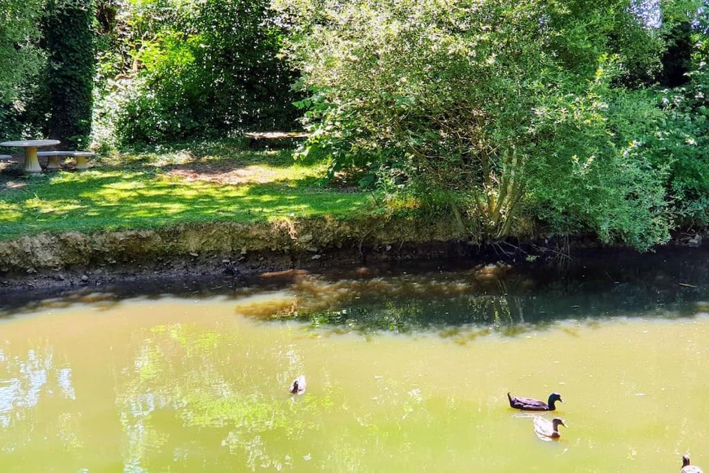 Tout Le Confort Au Milieu D'Un Parc Botanique Noyal-Muzillac Dış mekan fotoğraf